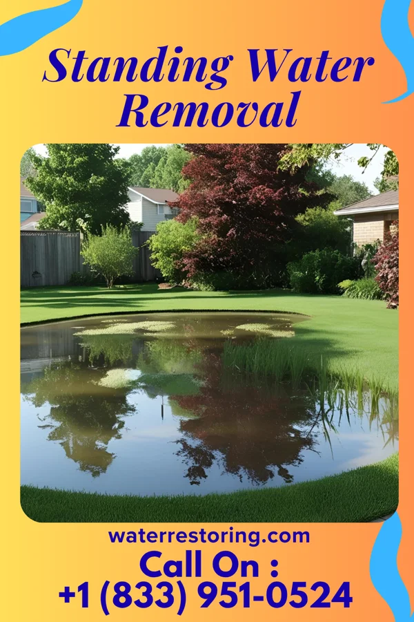 Standing Water Removal in Detroit, KS